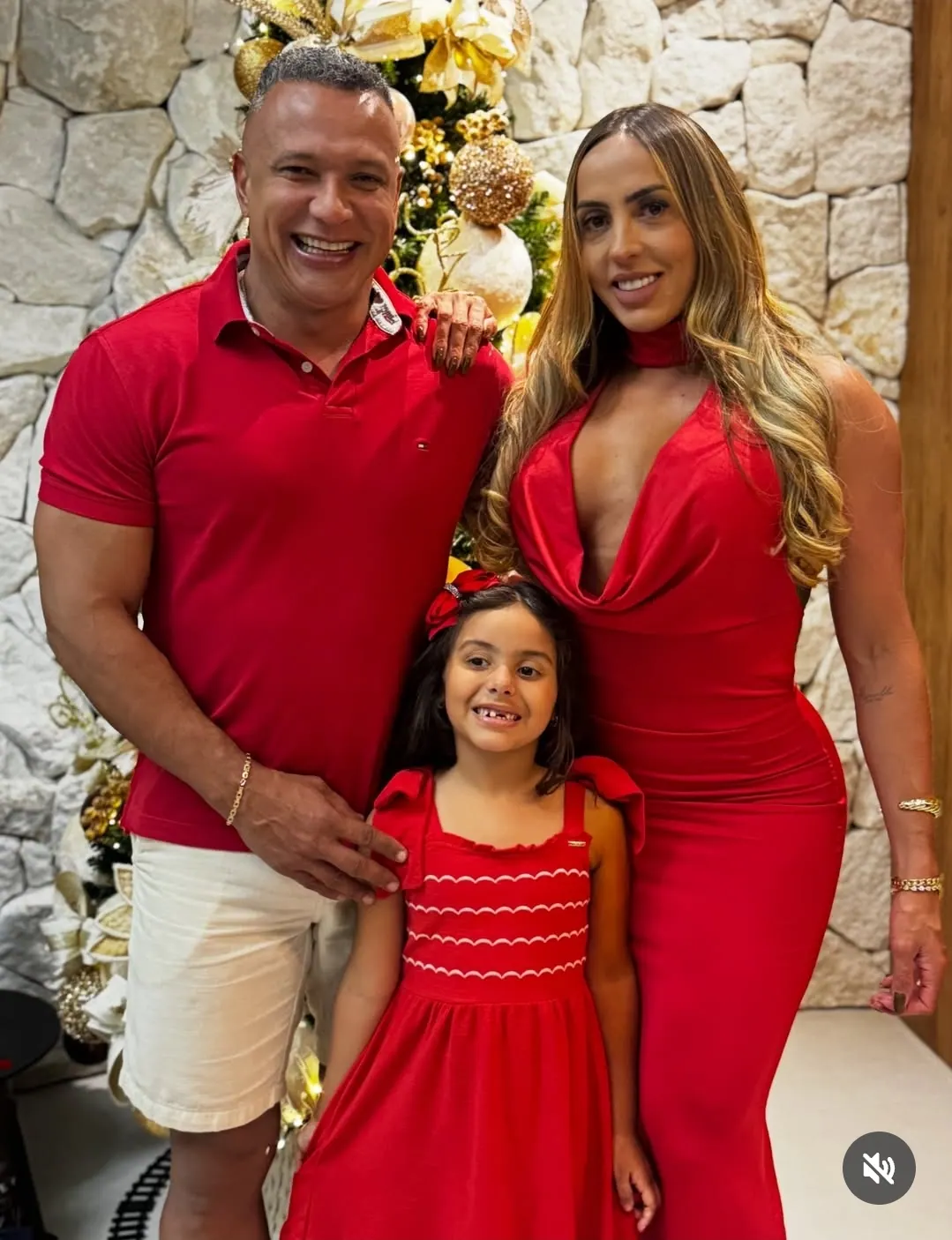 Família demonstrativa